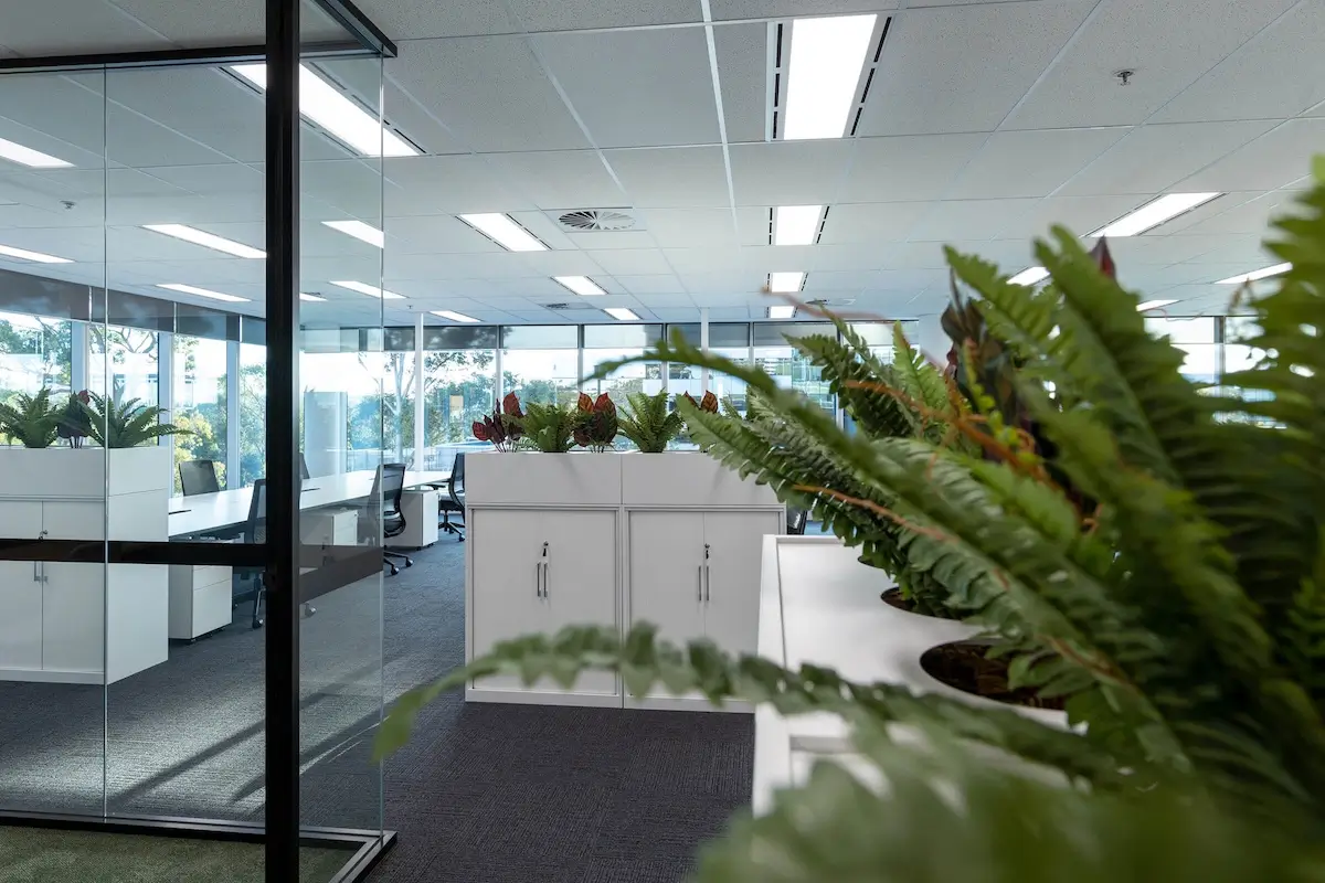 Modern office space with large glass walls, white cabinets, and rows of desks. Green potted plants are placed on cabinets, adding a touch of nature. Bright overhead lighting and large windows provide ample daylight.